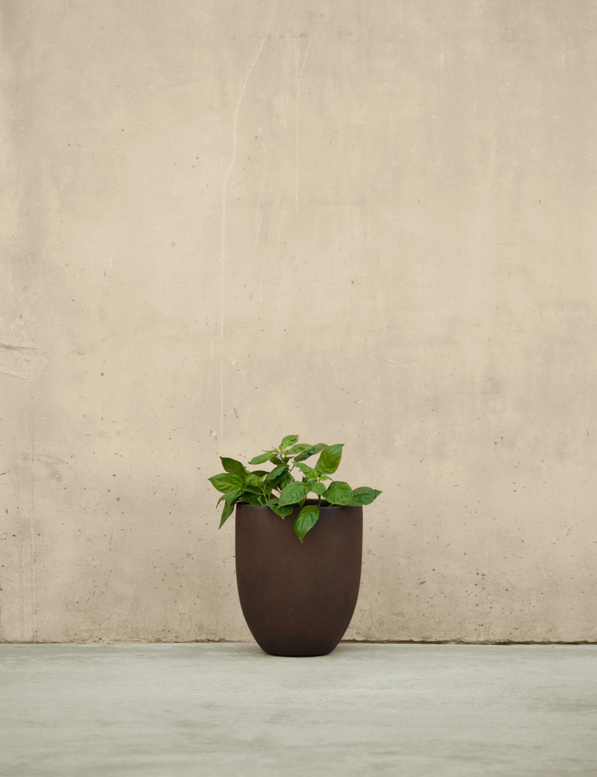 Bradford Planters by Campania International