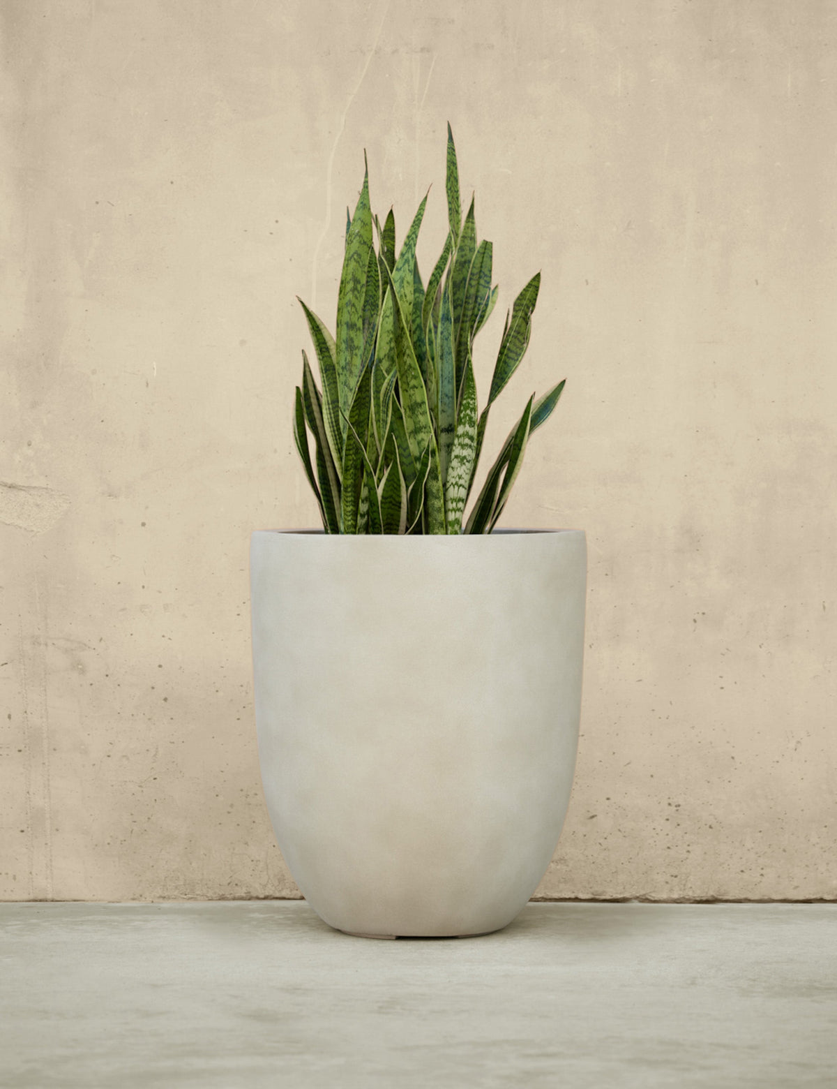 Bradford Planters by Campania International