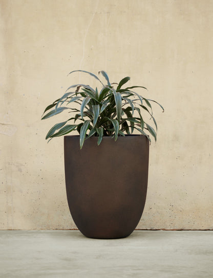 Bradford Planters by Campania International