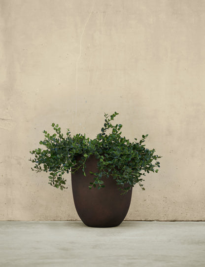 Bradford Planters by Campania International
