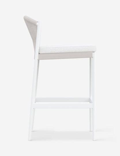 Esparza Indoor / Outdoor Bar Stool