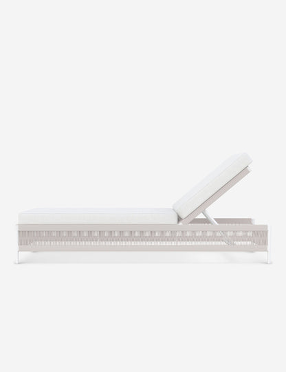 Esparza Indoor / Outdoor Chaise