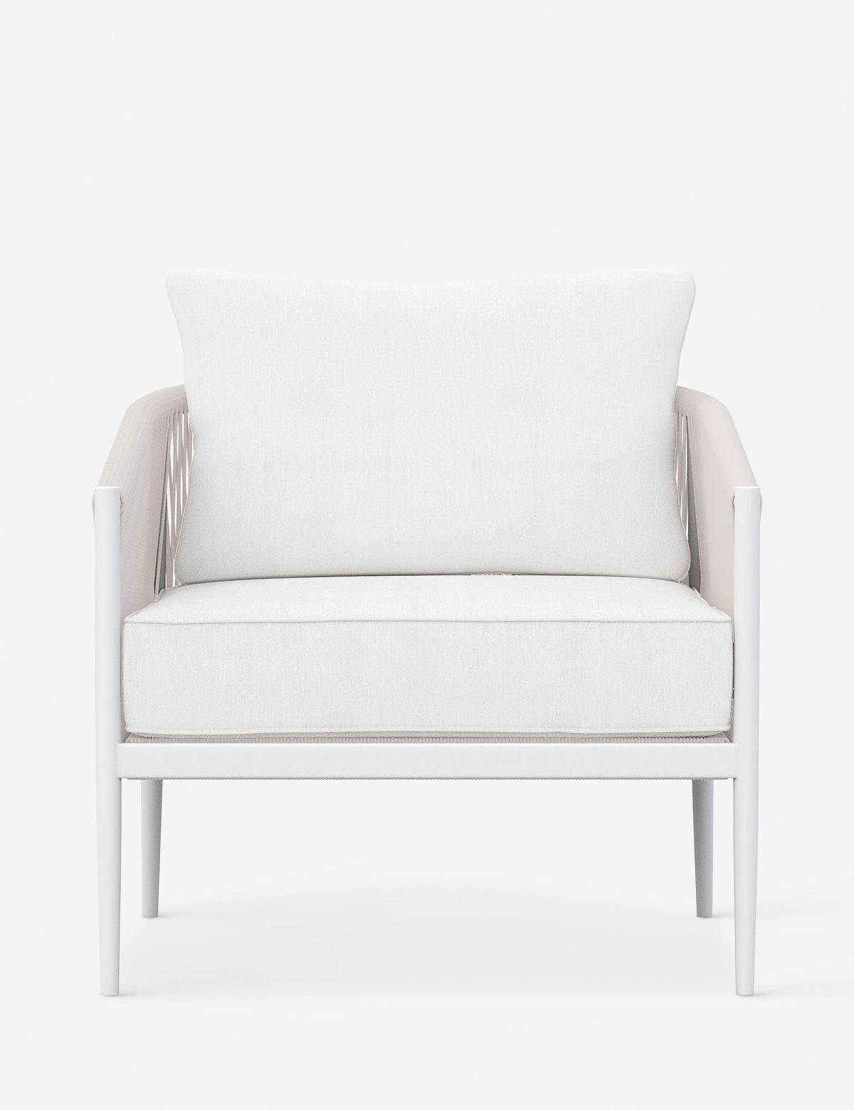 Esparza Indoor / Outdoor Accent Chair
