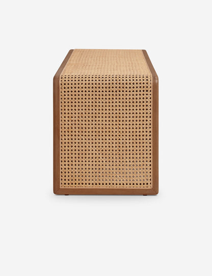 Canistel Bench by Carly Cushnie