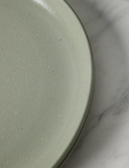 Pacifica Stoneware Dinnerware by Casafina