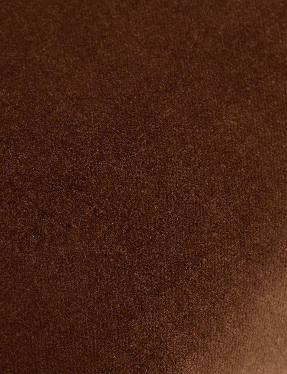 Charlotte Velvet Pillow