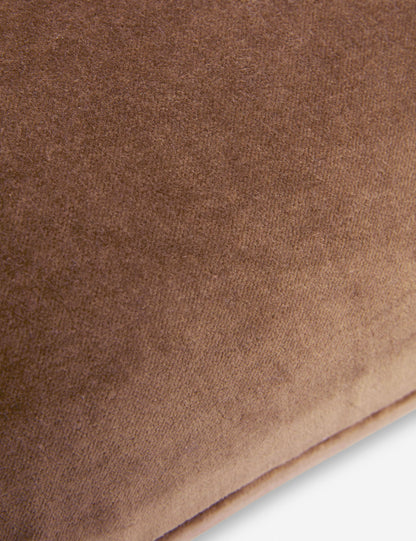 Charlotte Velvet Pillow