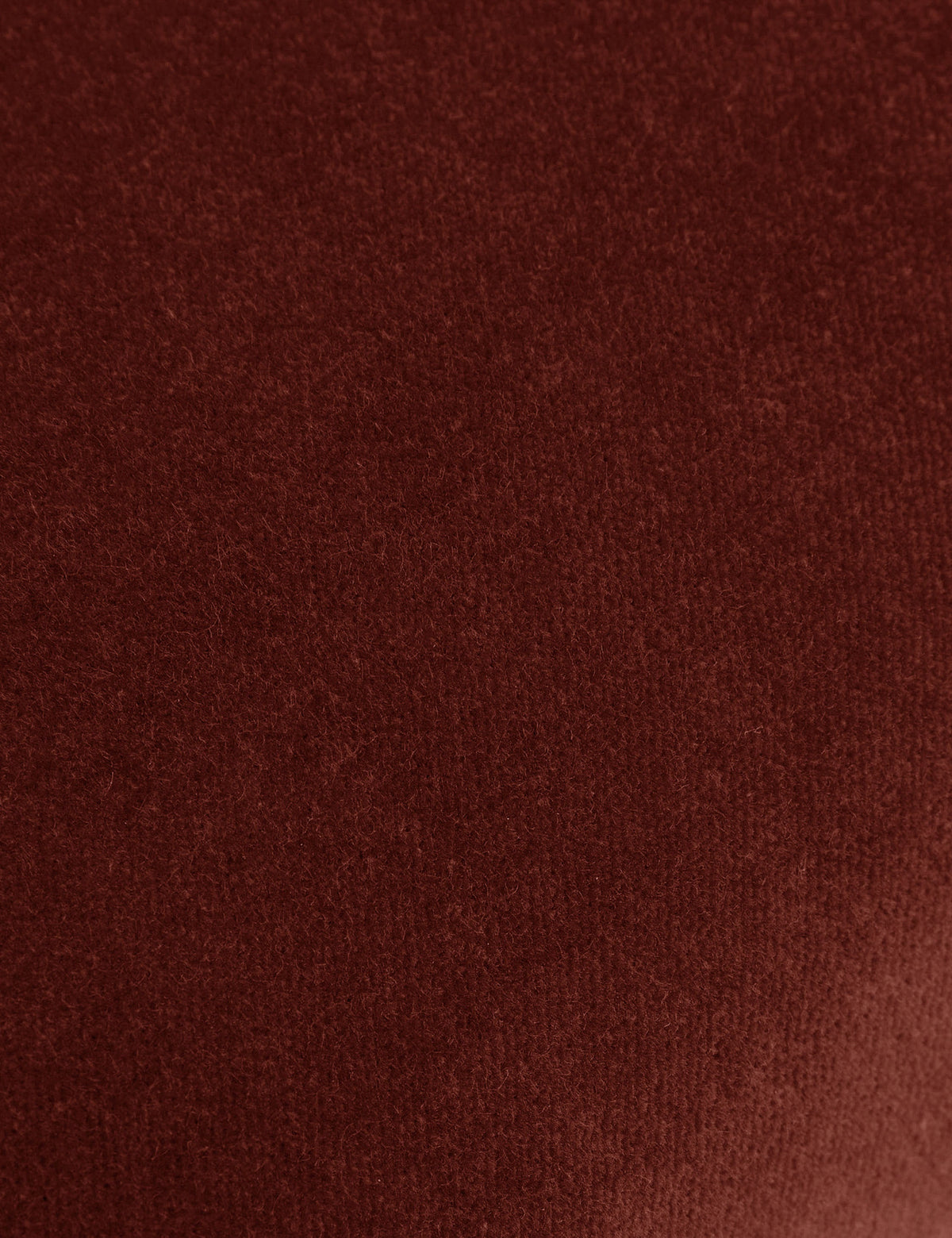 Charlotte Velvet Pillow