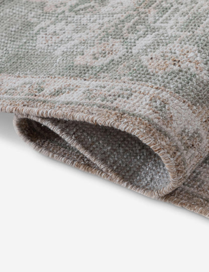 Ortiz Hand-Knotted Indoor / Outdoor Rug