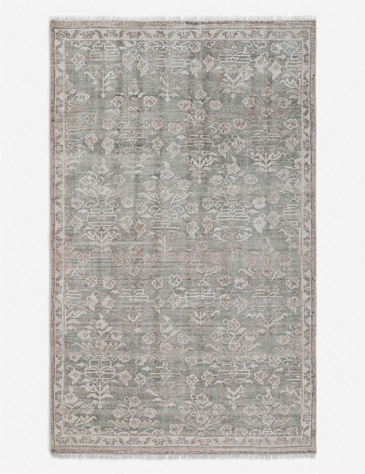 Ortiz Hand-Knotted Indoor / Outdoor Rug