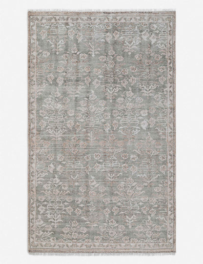 Ortiz Hand-Knotted Indoor / Outdoor Rug