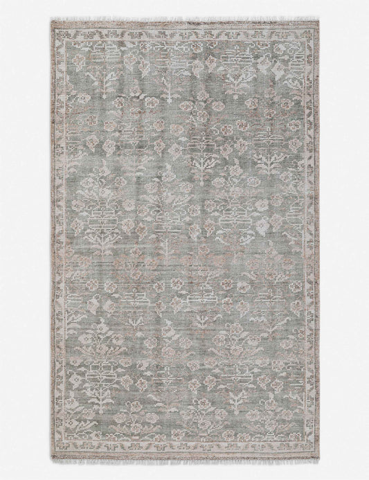Ortiz Hand-Knotted Indoor / Outdoor Rug