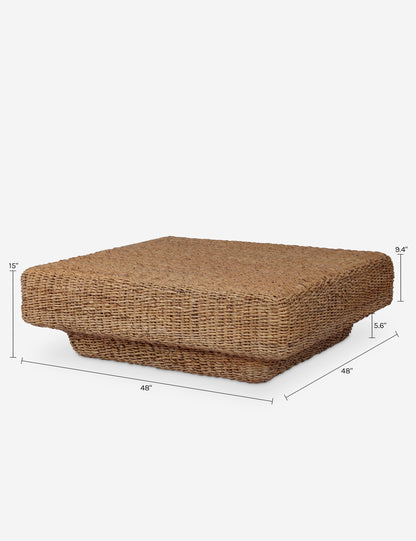 Arisha Coffee Table