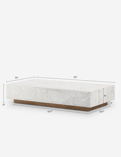 Janus Coffee Table