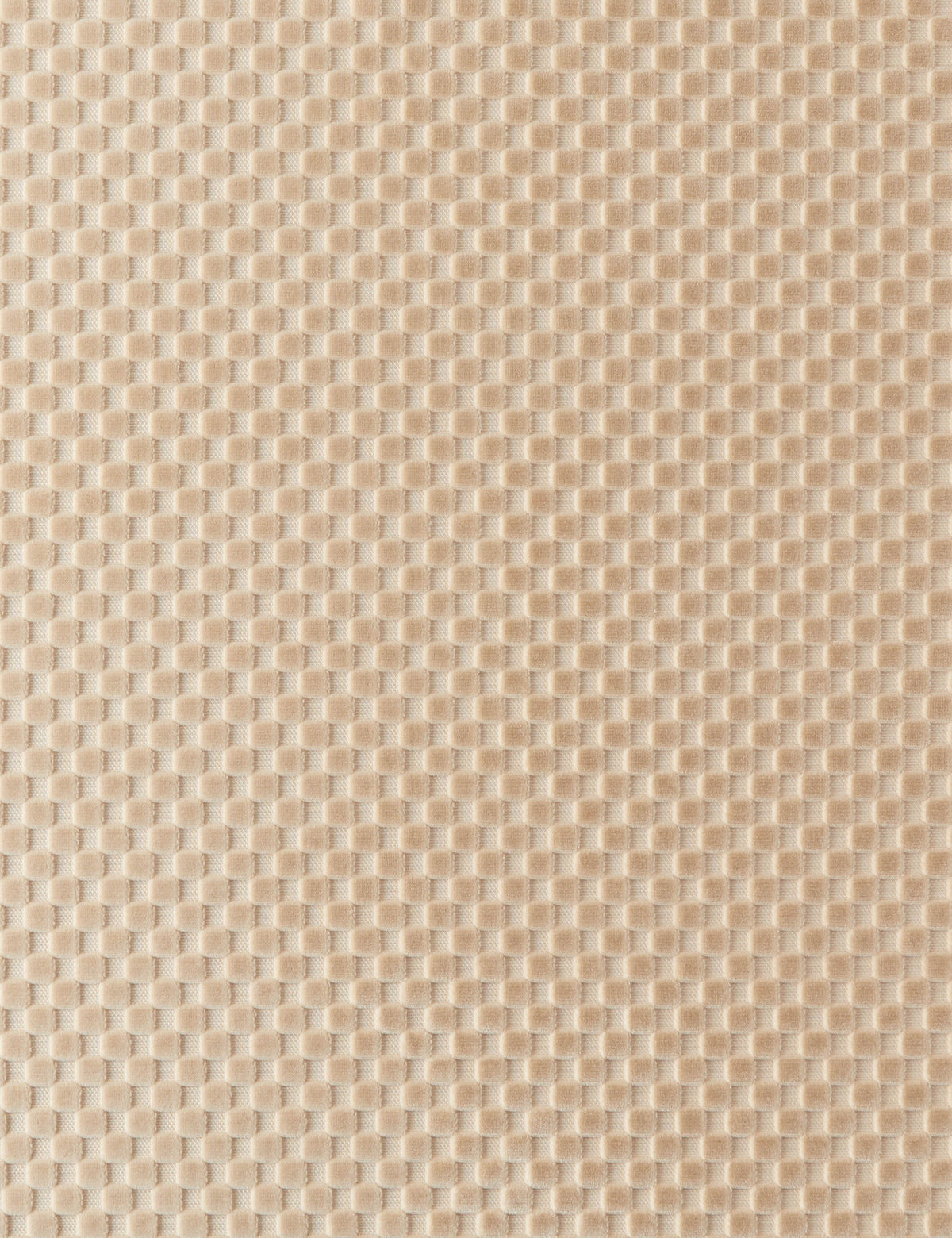 Hi-Lo Checker Velvet Fabric by Sarah Sherman Samuel