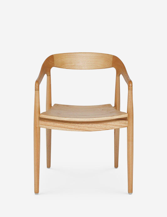 Ida Dining Arm Chair (Set of 2)