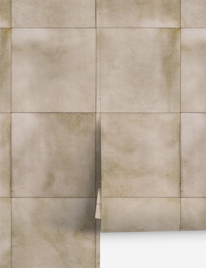 The Collector's Study Peel + Stick Wallpaper by Jeremiah Brent