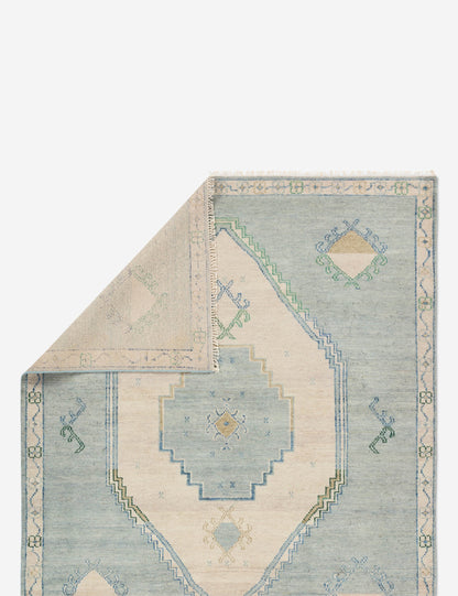 Berker Hand-Knotted Wool Rug