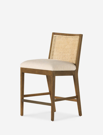 Jeni Bar and Counter Stool