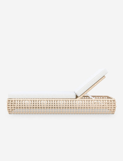 Mendoza Indoor / Outdoor Chaise