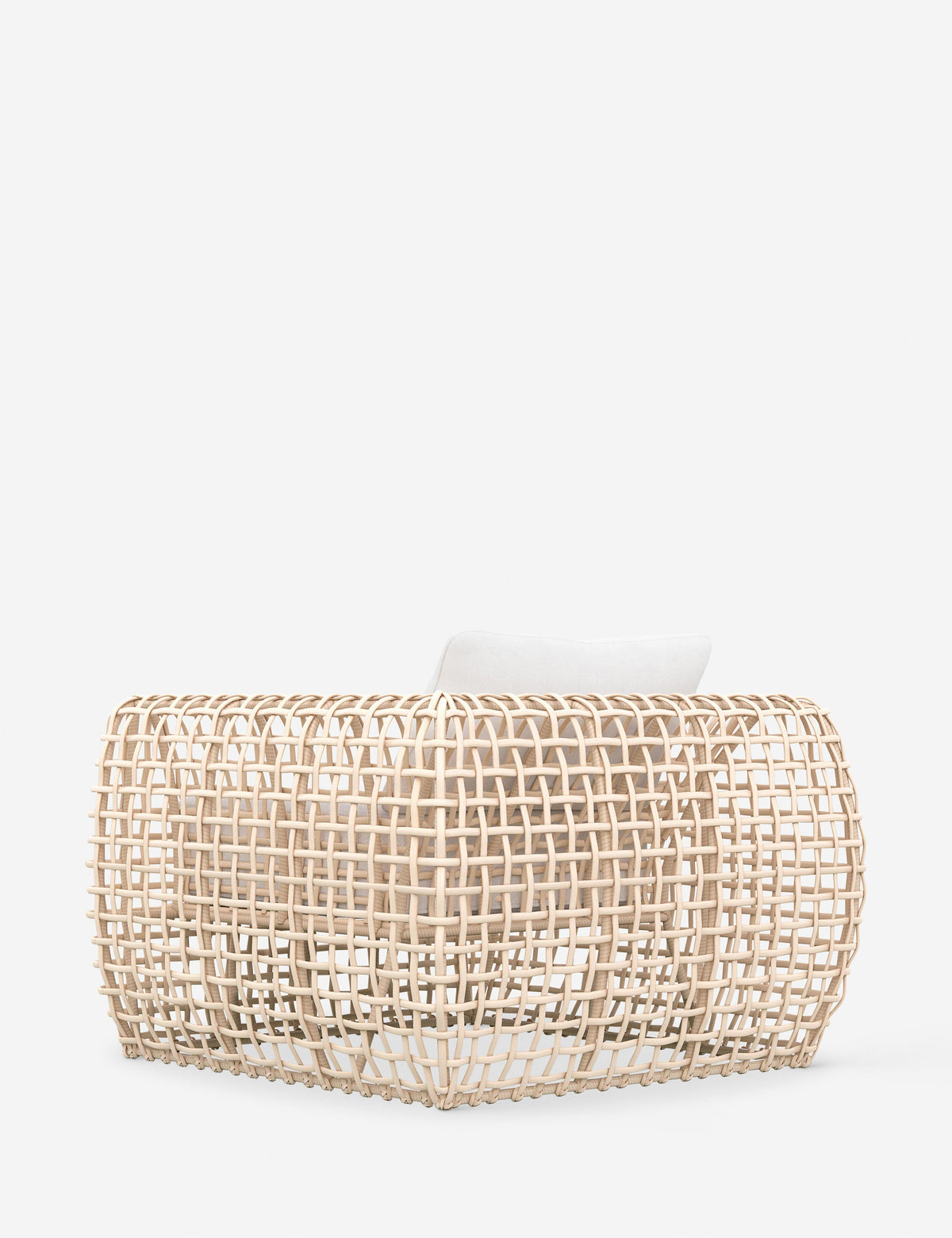 Mendoza Indoor / Outdoor Accent Chair