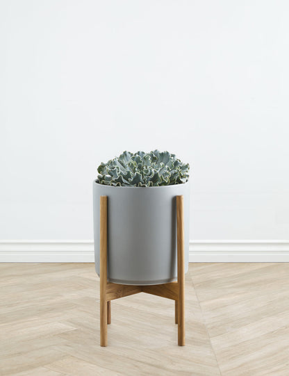 Ceramic Planter Pot + Teak Stand by LBE Design