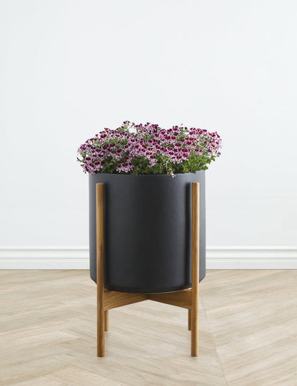 Ceramic Planter Pot + Teak Stand by LBE Design