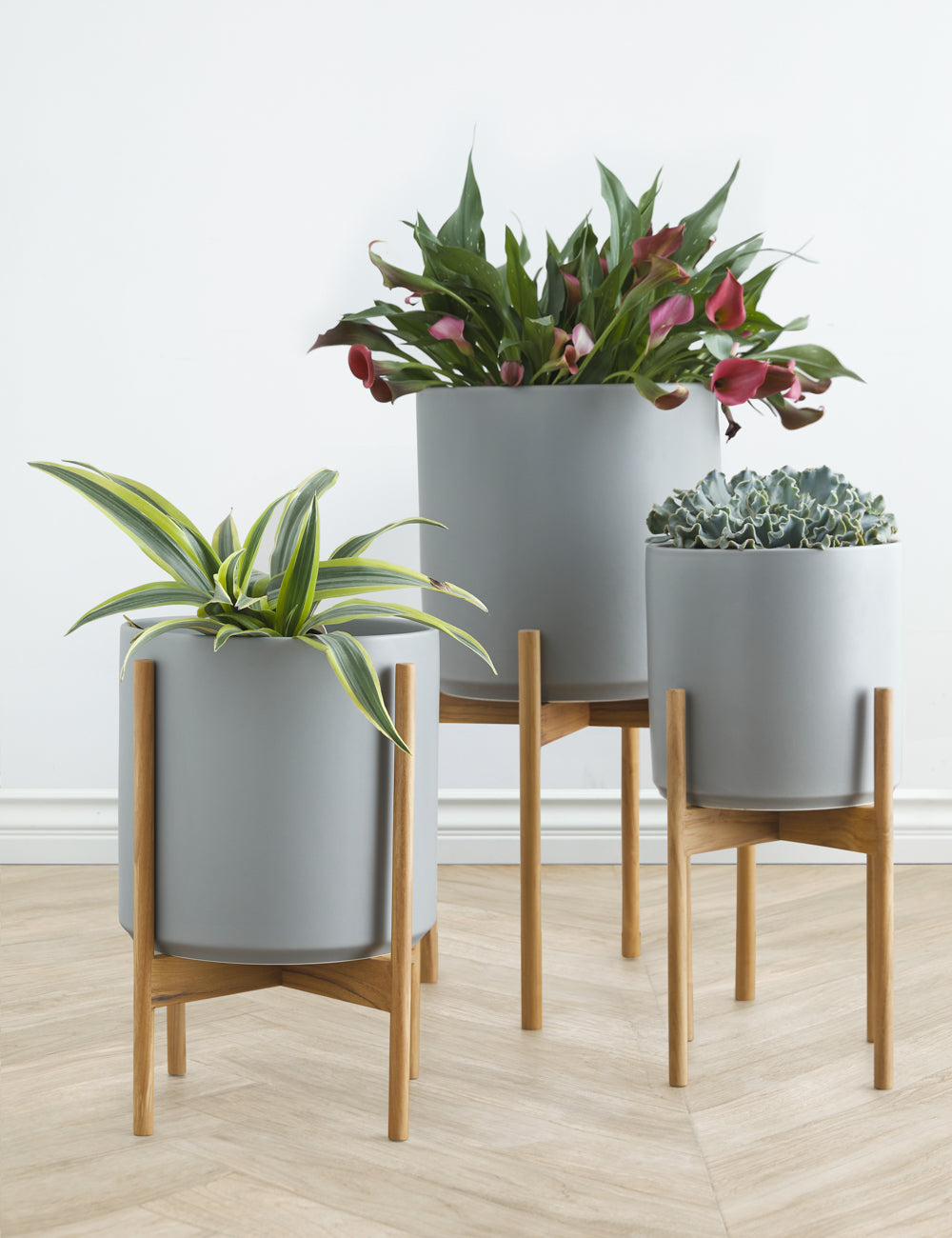 Ceramic Planter Pot + Teak Stand by LBE Design