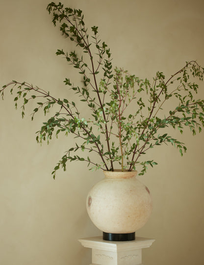 Forba Pot
