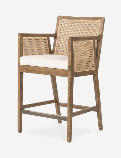 Jeni Bar and Counter Arm Stool