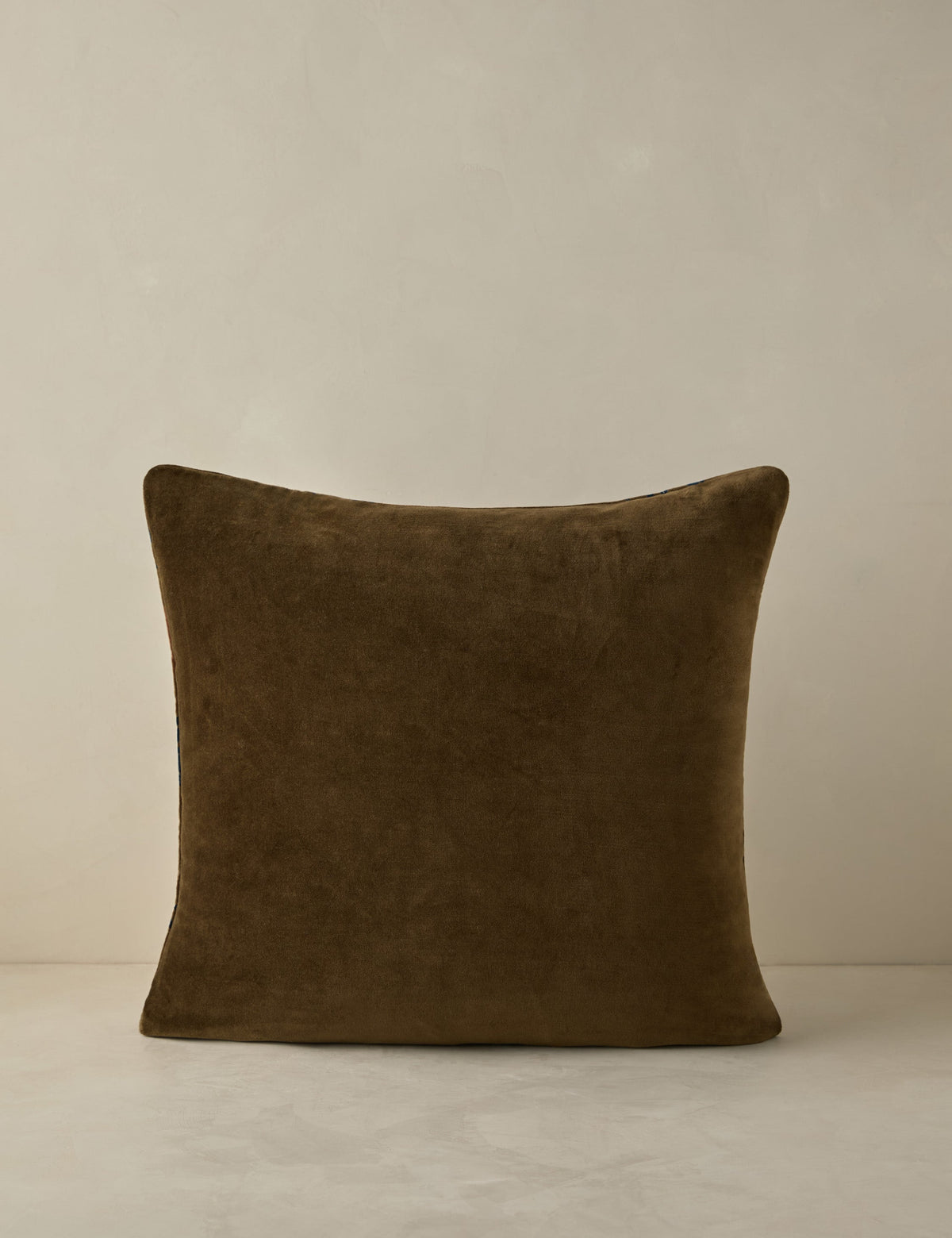 Royce Velvet Pillow