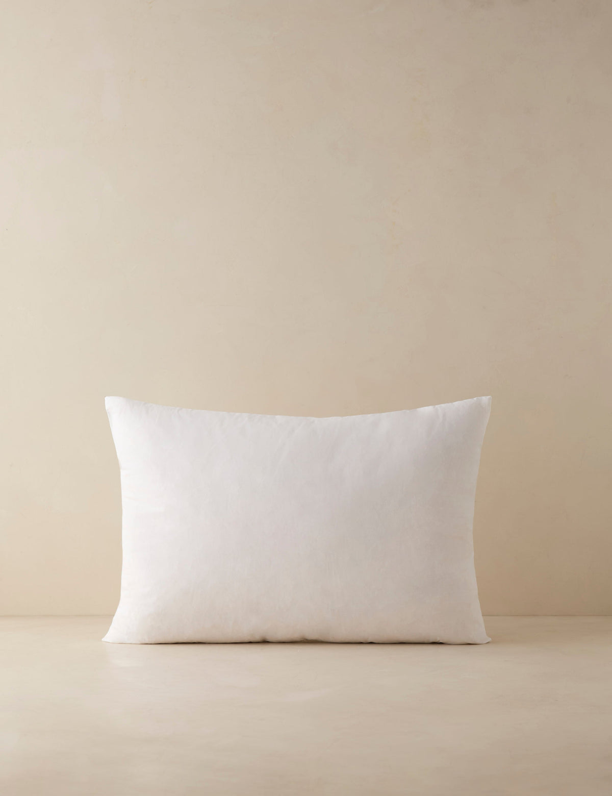 Feather Down Decorative Pillow Insert