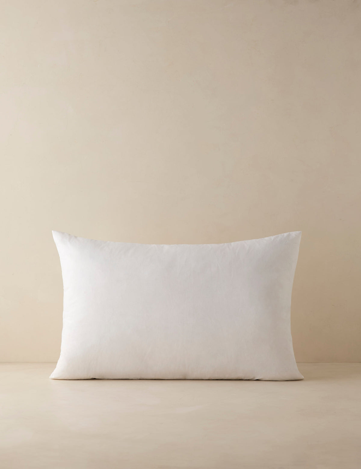 Feather Down Decorative Pillow Insert