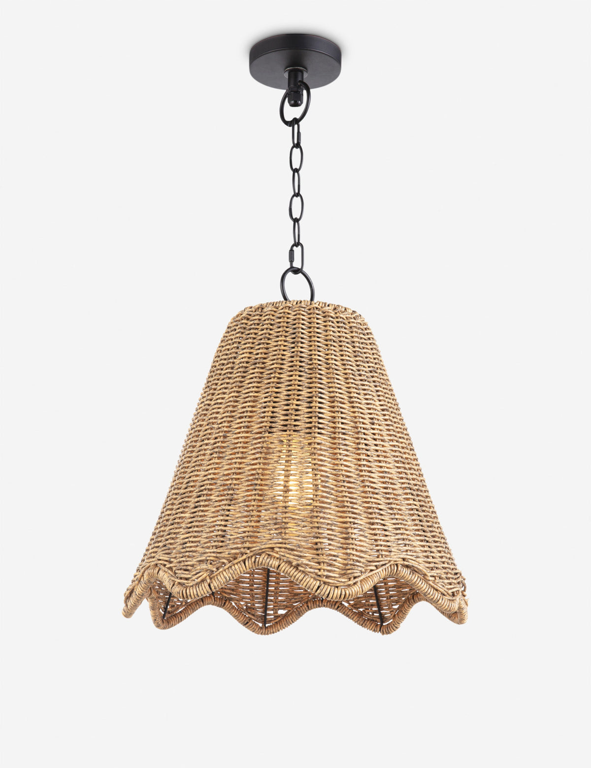 Summer Outdoor Pendant Light by Regina Andrew
