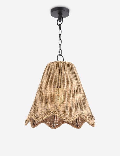 Summer Outdoor Pendant Light by Regina Andrew