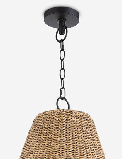 Summer Outdoor Pendant Light by Regina Andrew