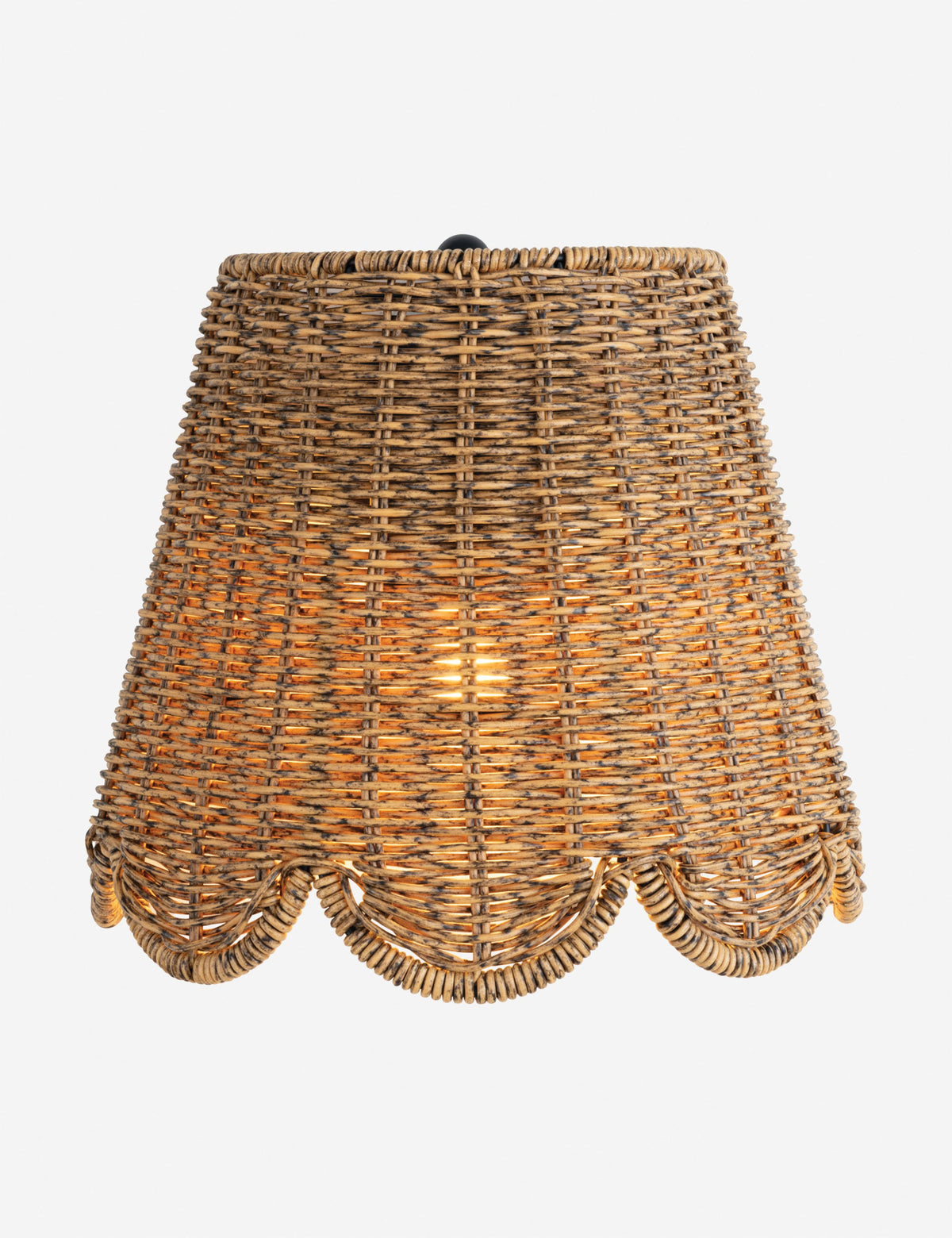 Summer Outdoor Sconce by Regina Andrew