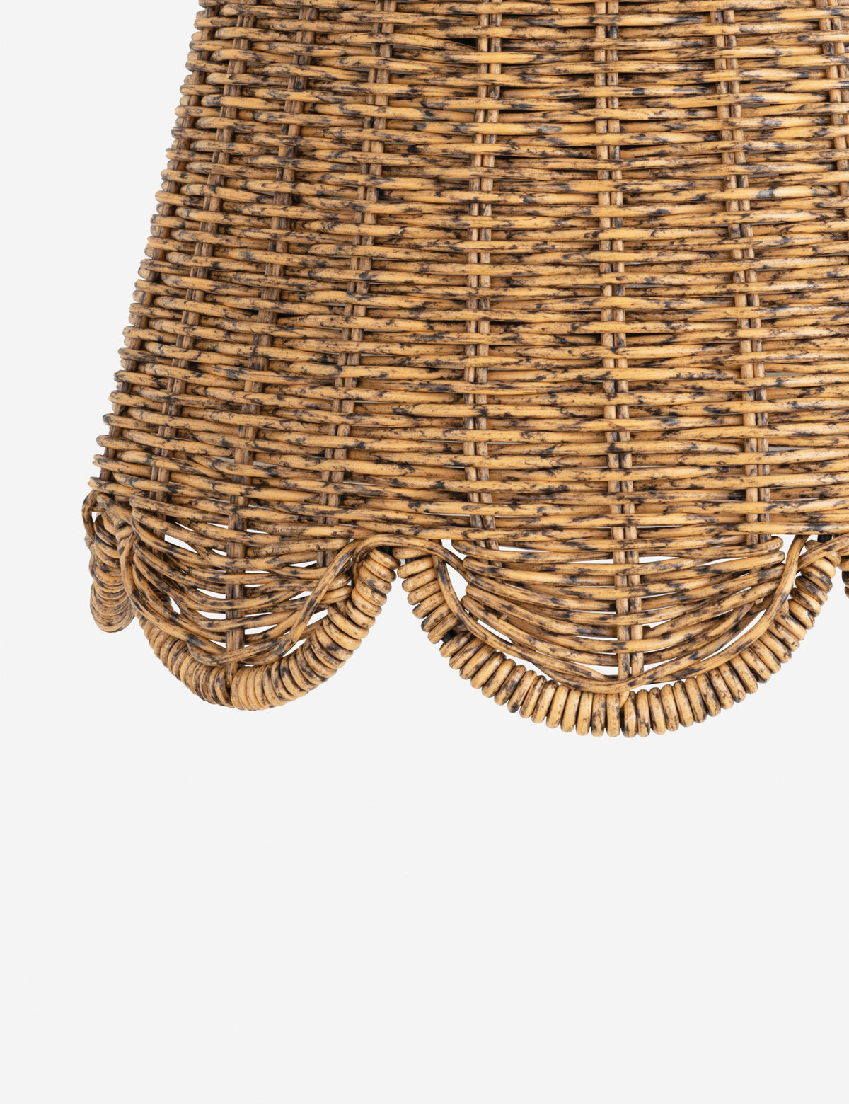 Summer Outdoor Sconce by Regina Andrew