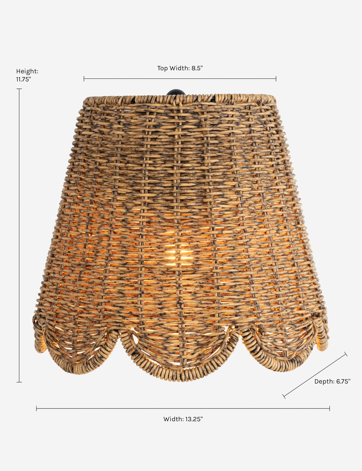 Summer Outdoor Sconce by Regina Andrew