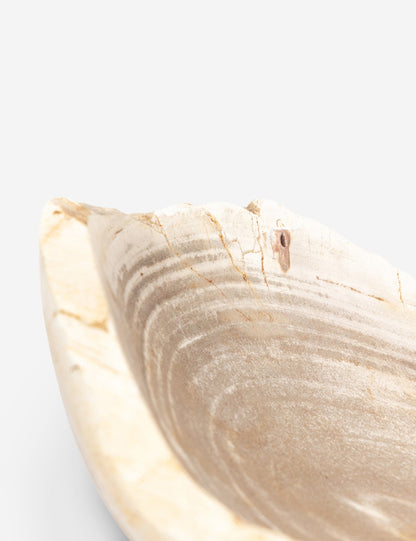 Noki Petrified Wood Bowl