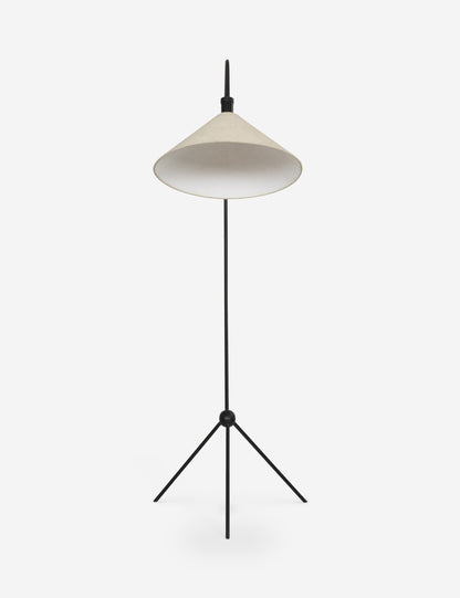 Choi Floor Lamp
