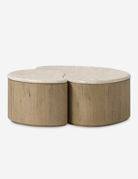 Lazaro Nesting Coffee Table (Set of 2)