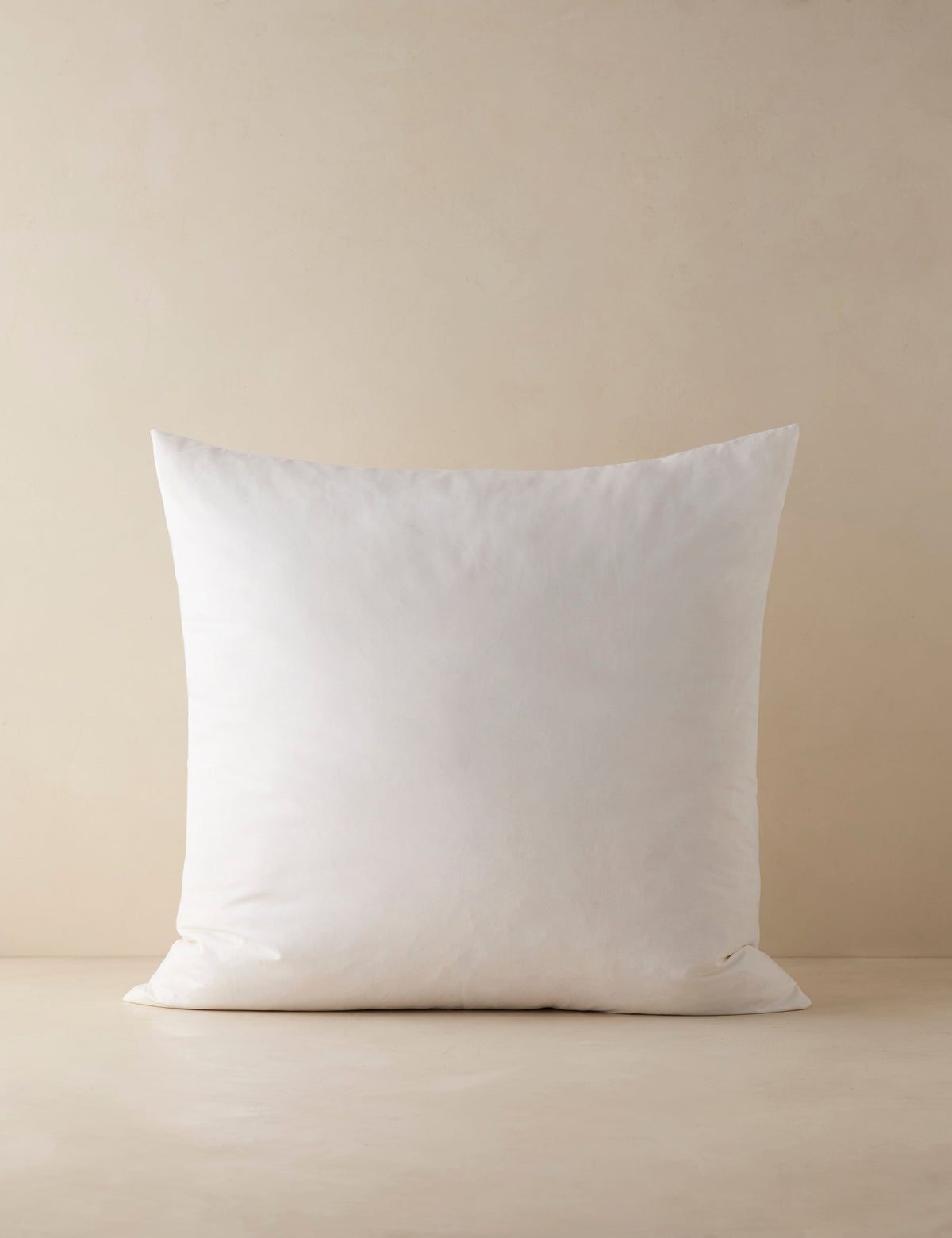 Feather Down Decorative Pillow Insert