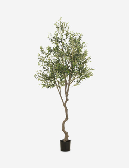 Faux Olive Tree