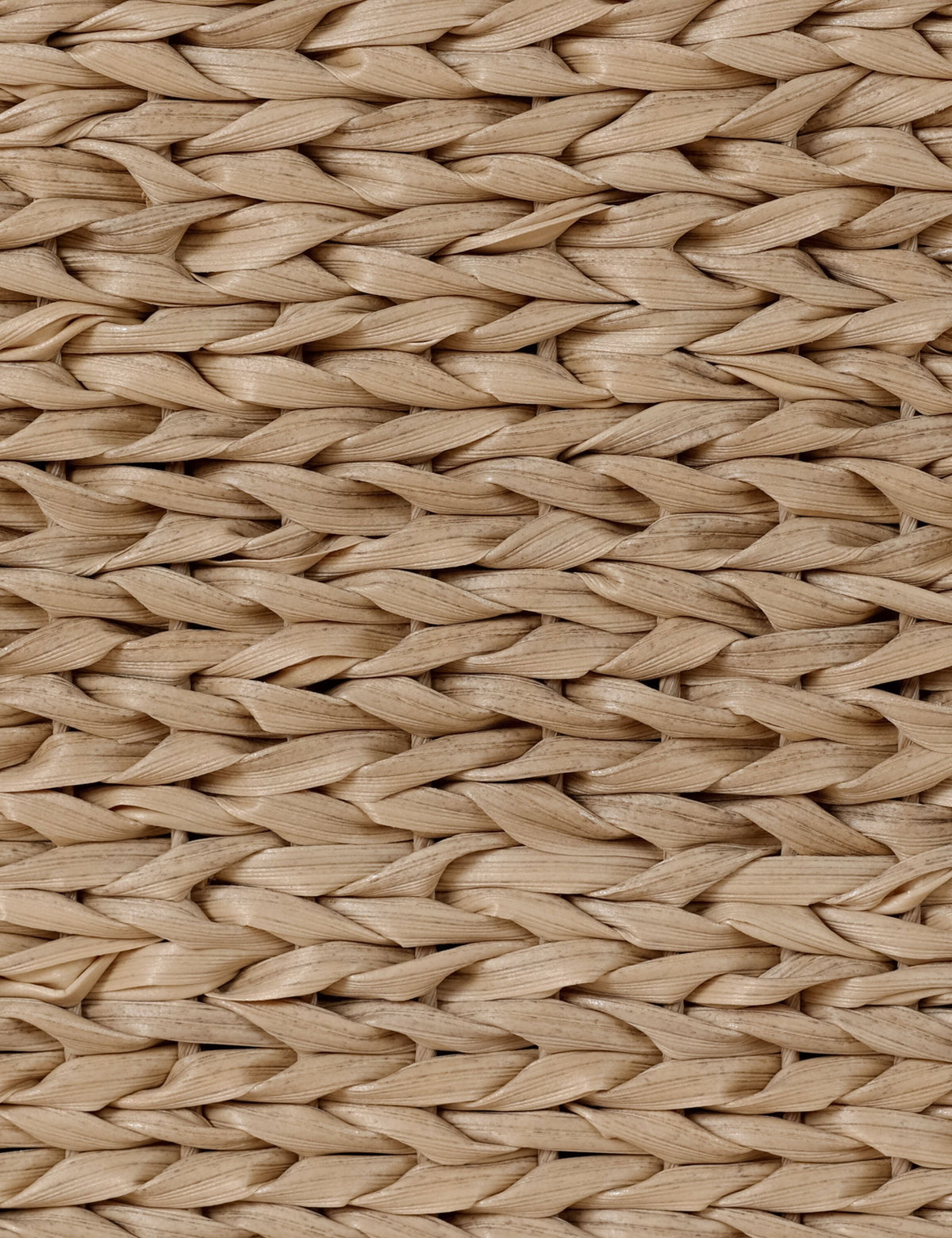 Tinashe Outdoor Dining Chair