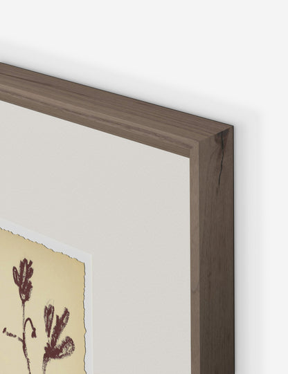 Meadow Rue No. 3 Wall Art by Shaina Page