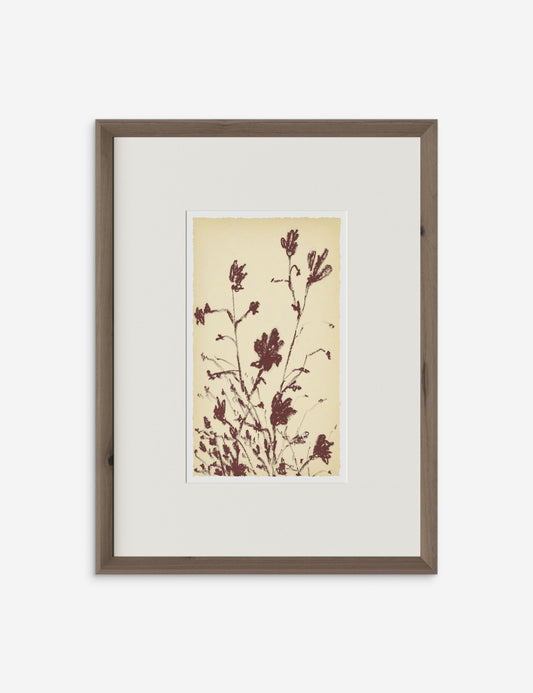 Meadow Rue No. 3 Wall Art by Shaina Page