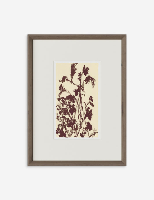 Meadow Rue No. 5 Wall Art by Shaina Page