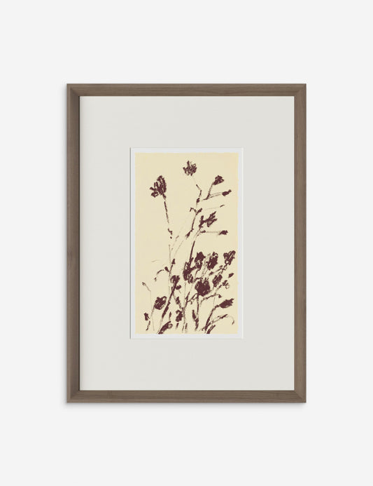 Meadow Rue No. 8 Wall Art by Shaina Page