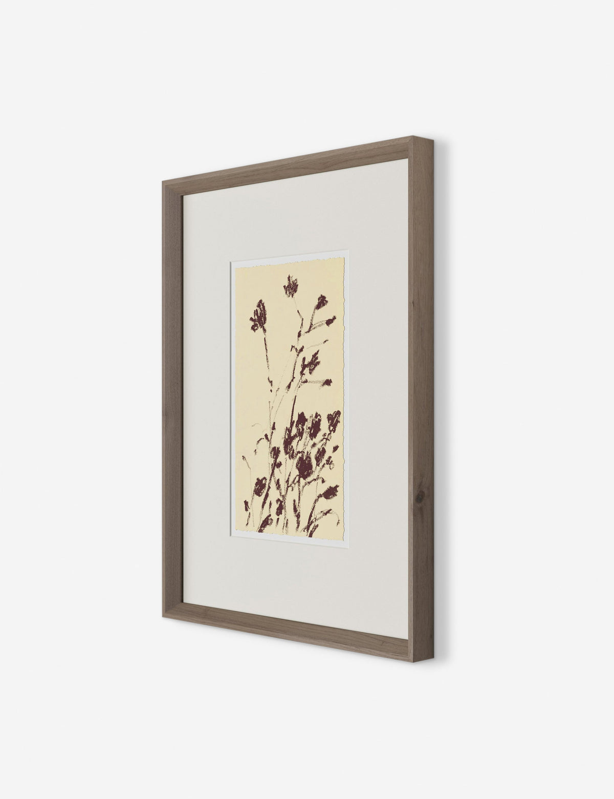 Meadow Rue No. 8 Wall Art by Shaina Page